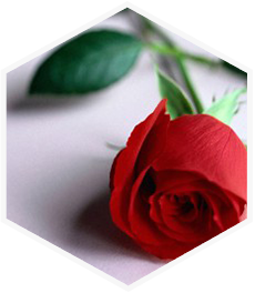 Romantic week-ends 